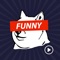 If you want to create 100% funny video, this app is here to offer help