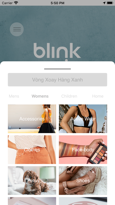 Blink Consumer screenshot 2