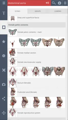 Game screenshot Female Pelvis: 3D Real-time apk