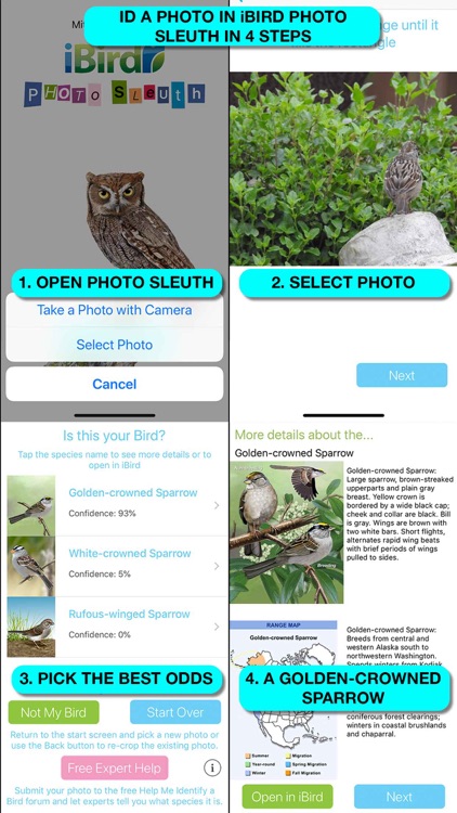iBird Ultimate Guide to Birds screenshot-3