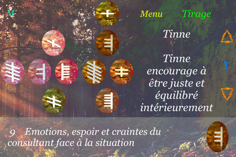 Ogham Oracle screenshot 3
