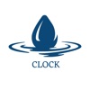 LiquidEMR Punch Clock