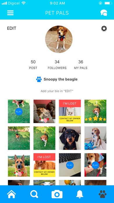 Pet Pals - Community for Pets screenshot 2