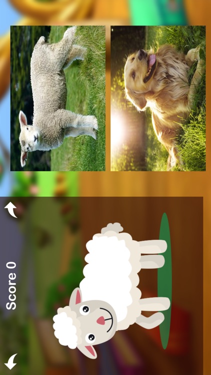 Kids learning Fun 2020 screenshot-5