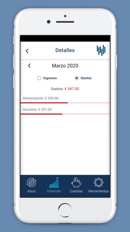 Control de Gastos e Ingresos screenshot-3