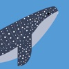 Find the Whales: Español