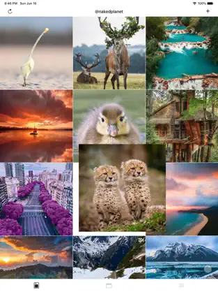Captura de Pantalla 3 Avance de feed para Instagram iphone