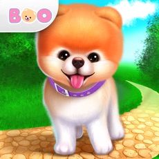 Activities of Boo - World's Cutest Dog Game
