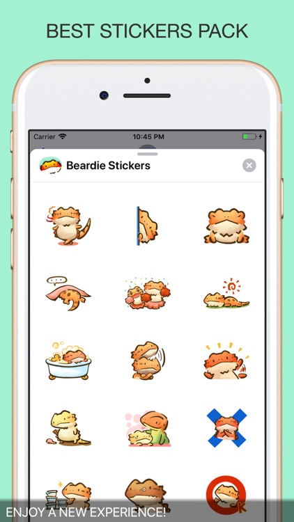 Beardie Chat Stickers