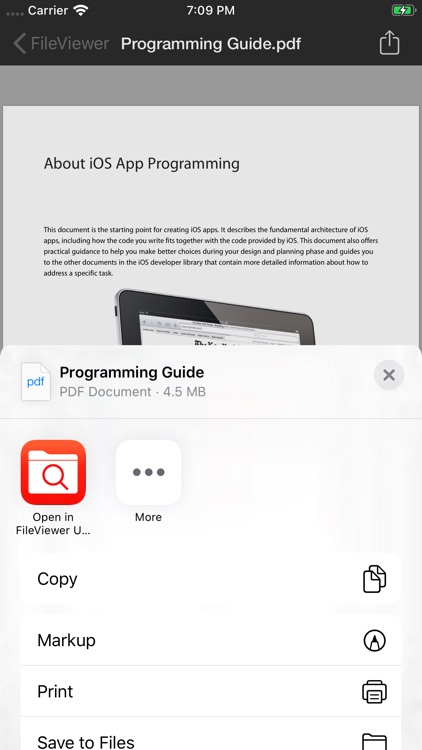 FileViewer USB for iPhone screenshot-4