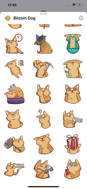 Bitcoin Dog Sticker Pack(圖3)-速報App