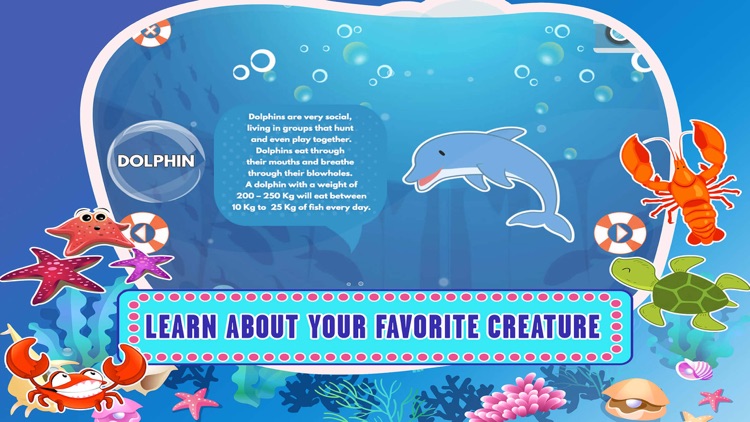 Sea Animal Games For Kids Apps