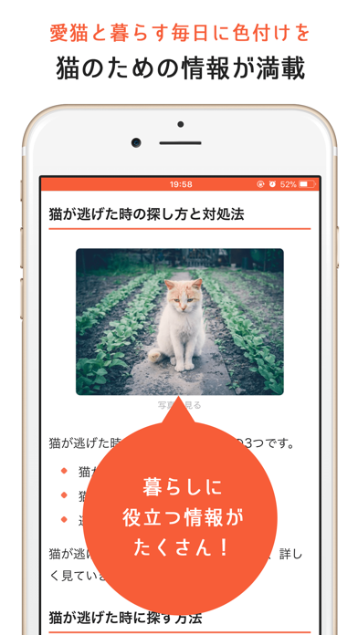 猫のニュースや飼い方の情報をまとめ読み -ねこちゃんホンポ- screenshot 3