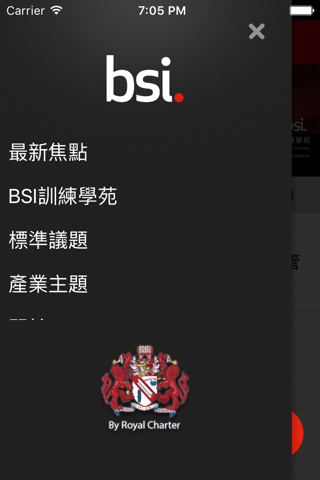 BSI screenshot 2