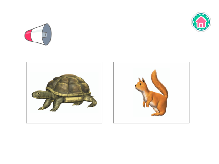 Picture Dictionary - Animals