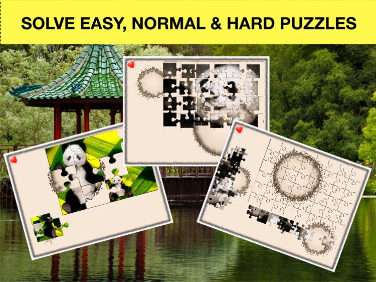 Panda Jigsaw Puzzle for Kids