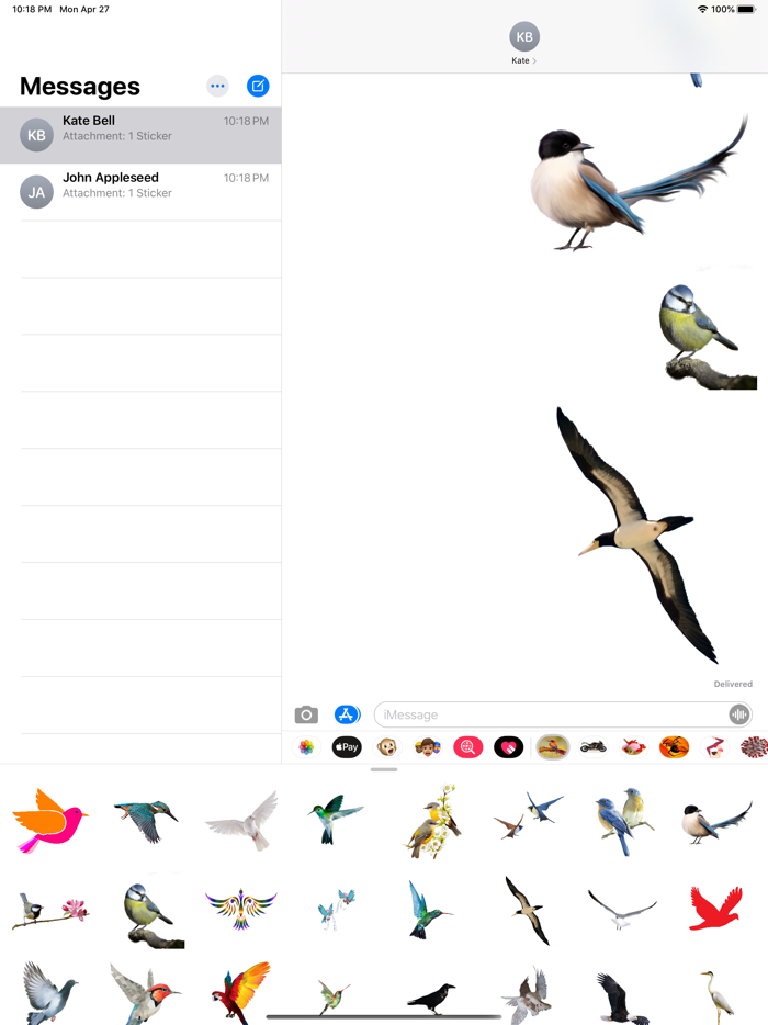 Amazing Birds Gallery