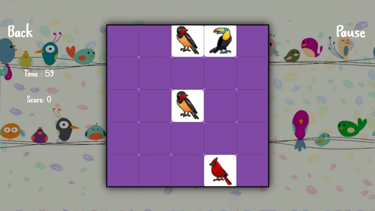 Learning Birds Puzzle