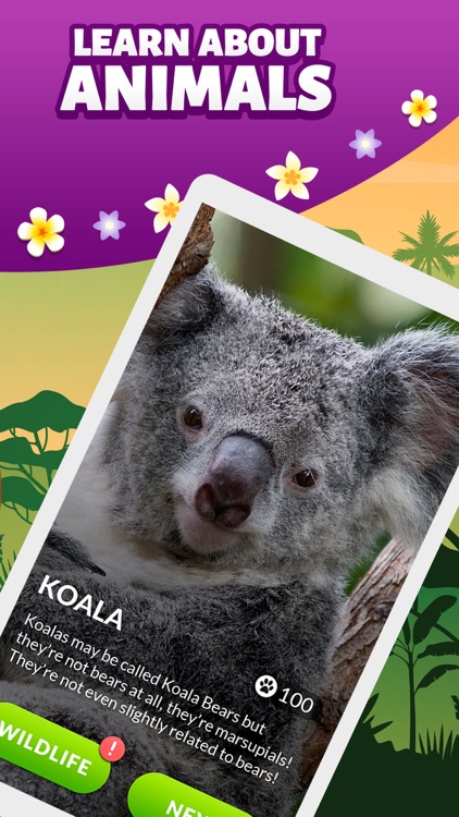 Words and Animals - Crosswords