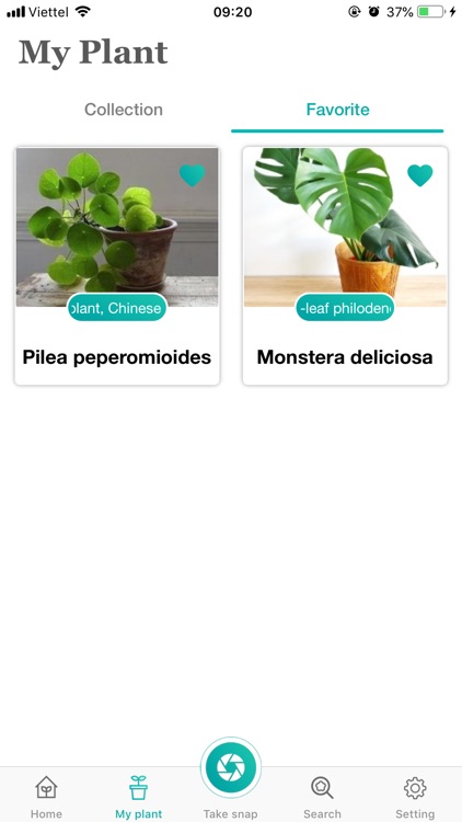 PlantFinder - Quick identifier screenshot-3