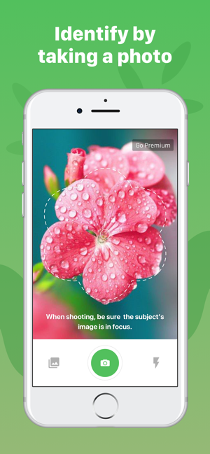 Plant Identification ++(圖6)-速報App