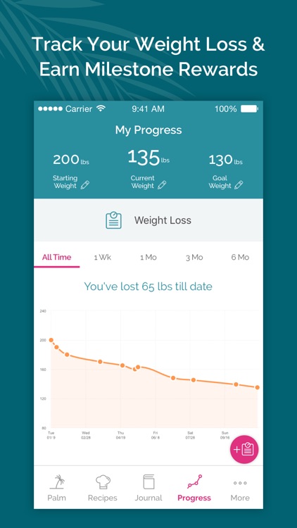 South Beach Diet Tracker screenshot-4
