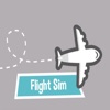 FlightSimer
