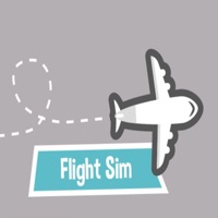 FlightSimer pour PC