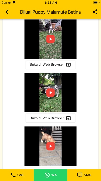 AnjingDijual screenshot-7