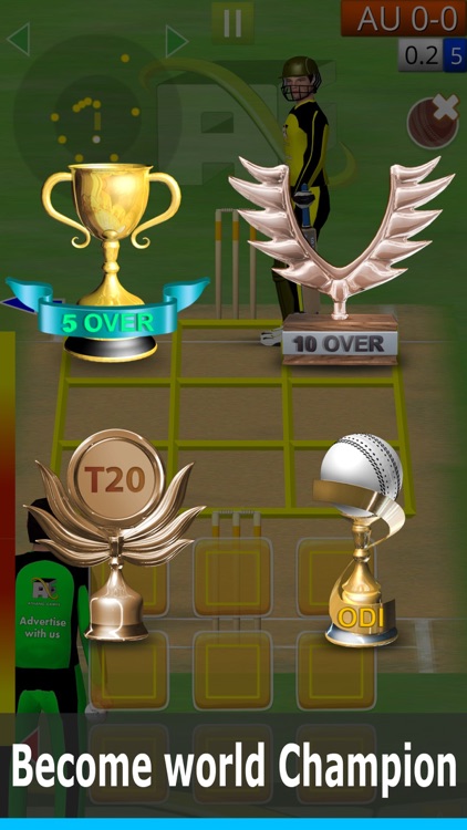 Smashing Cricket: cricket game screenshot-4