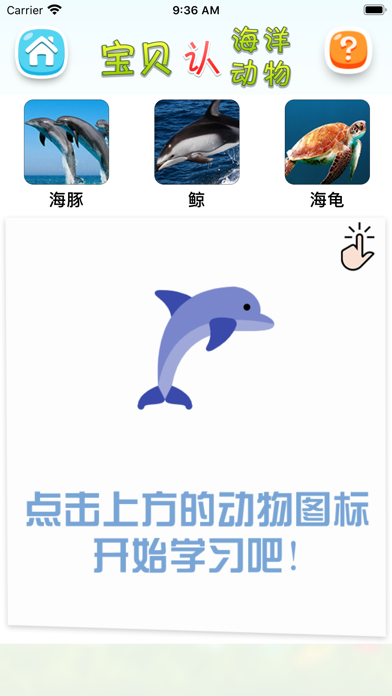 认海洋动物 screenshot 4