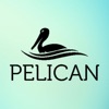 Pelican AR