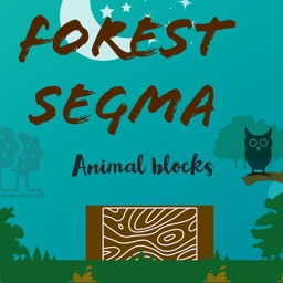 Forest Segma - Animal Blocks