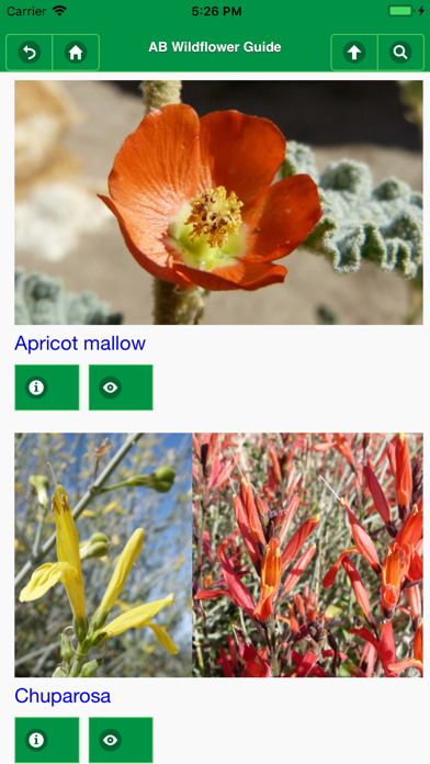 How to cancel & delete Anza-Borrego Wildflowers Lite from iphone & ipad 1