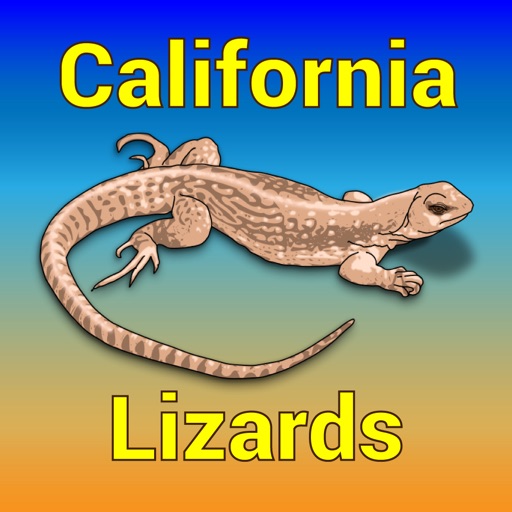 California Lizards