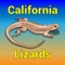 Another app in our California Wildlife series