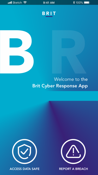 Brit's Cyber Response screenshot 2