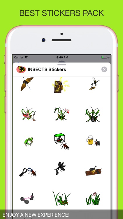 INSECTS Animal Stickers