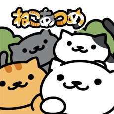 Activities of Neko Atsume: Kitty Collector