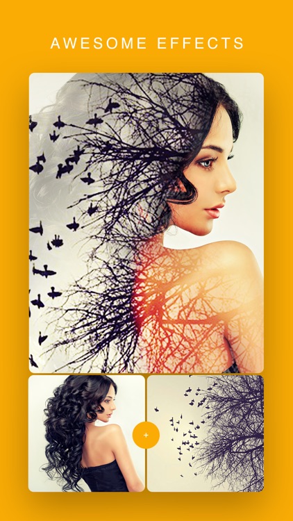 Photo Lab: Picture Editor App screenshot-4