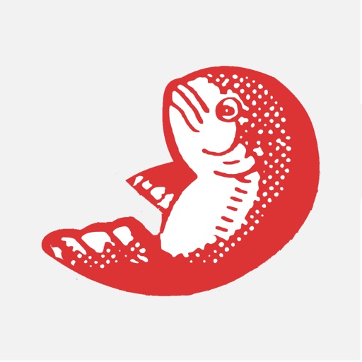 Fortune Teller Miracle Fish Icon