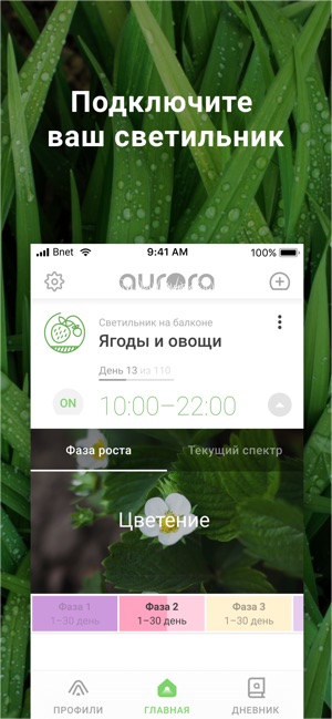 Aurora SmartLight(圖1)-速報App