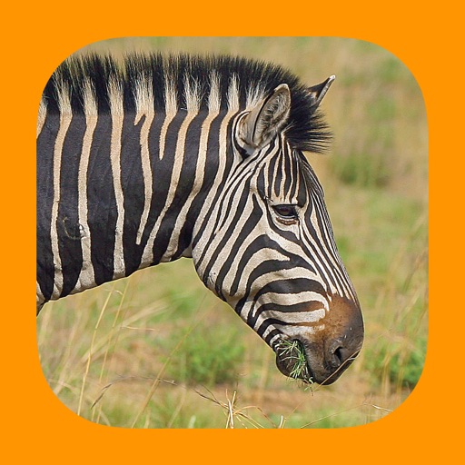 Animals of Pilanesberg iOS App