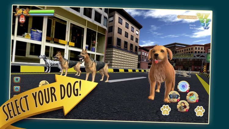 Zoro Pet Dog Race