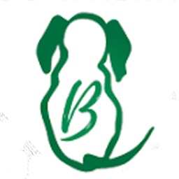 Benterprise Dog Walking LLC