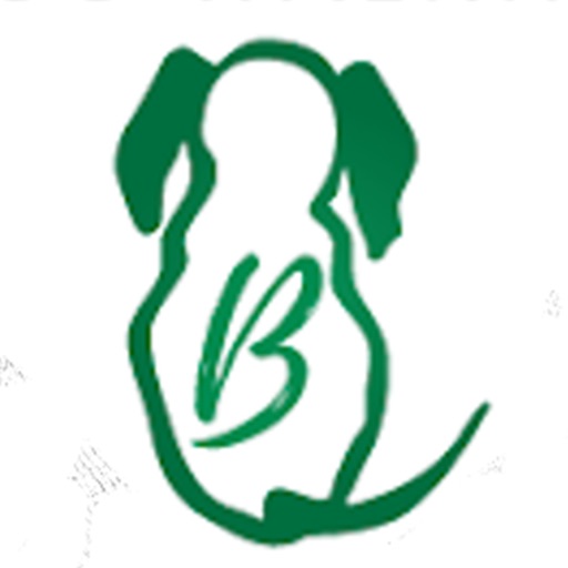 Benterprise Dog Walking LLC