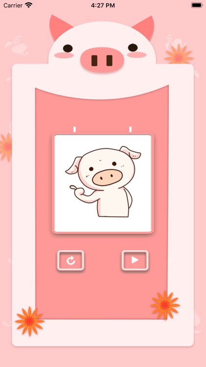 pigDIDI
