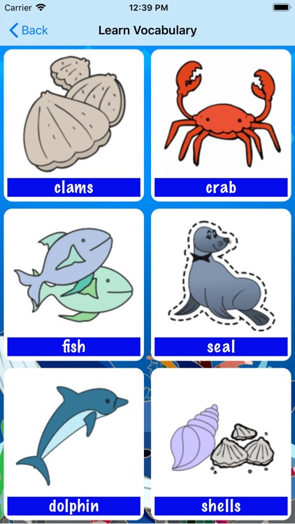 Sea Animals in English!