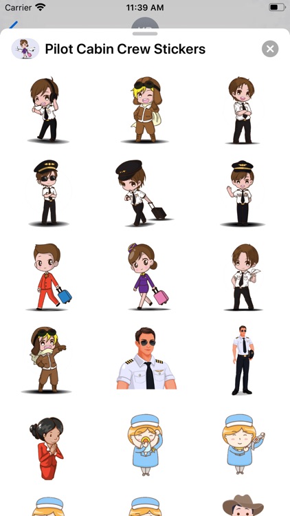 Pilot & Cabin Crew Stickers