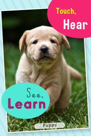 Toddler Sound 123 - Flashcards - náhled